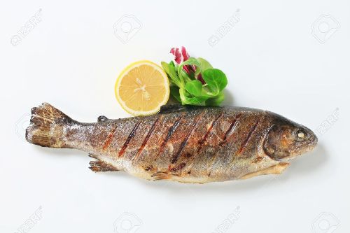 fish