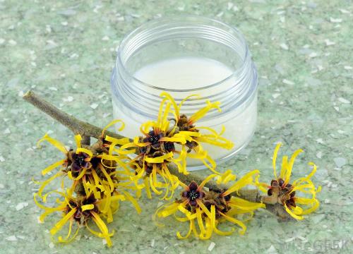 witch-hazel