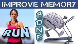 How Exercise Changes Your Brain, Boosts Your Memory and Helps You Think Better