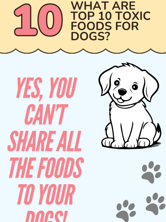 What are Top 10 Toxic Foods for Dogs?